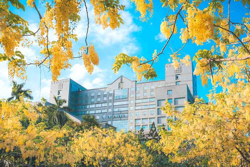 國立屏東科技大學 Đại học Khoa học Kỹ thuật Quốc lập Bình Đông